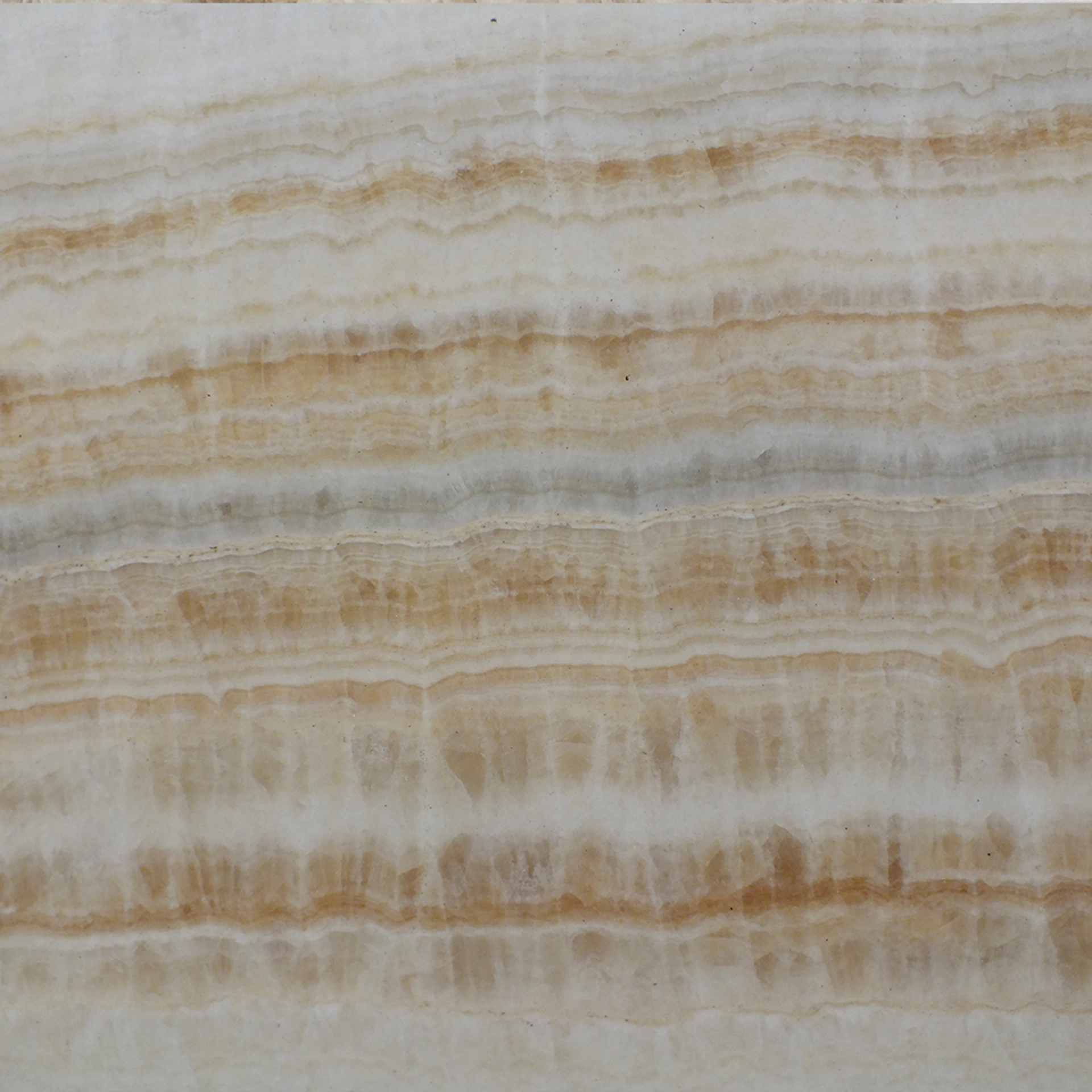 Giorgio Gold Onyx