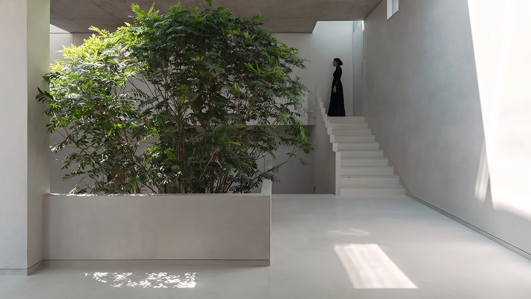 Nexion pada exterior residence kontemporer